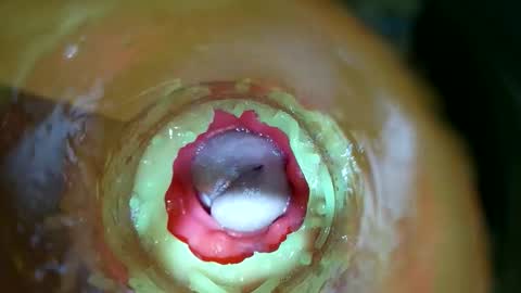 bigmoneycorey online show from March 14, 7:30 pm