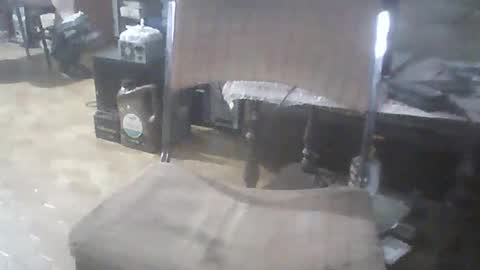 bigpenix online show from February 15, 1:13 am