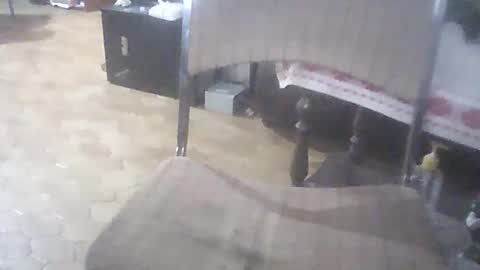 bigpenix online show from April 1, 1:39 am