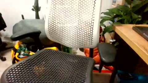 Snapshot of bigpolishdick12345 chatting on June 24, 11:04 pm bigpolishdick12345 online show from June 24, 11:04 pm