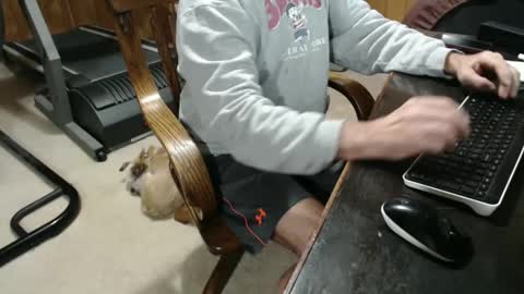 billy471 online show from January 5, 9:14 pm