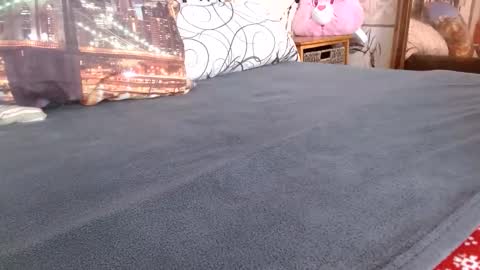 Snapshot of bilmapiedradura chatting on February 17, 12:56 pm Bill online show from February 17, 12:56 pm