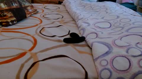 Snapshot of bilmapiedradura chatting on March 16, 6:50 am Bill online show from March 16, 6:50 am