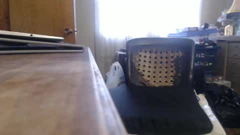 Snapshot of bimbttm chatting on December 19, 5:50 pm Bimbttm online show from December 19, 5:50 pm