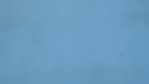 birdiexxslut online show from November 18, 9:08 pm