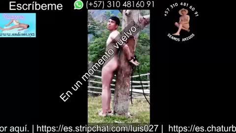 luis027 online show from September 18, 2:35 am