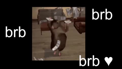 Snapshot of black_kittie_01 chatting on October 26, 1:17 pm  Black Kittie    Wednesday - 1300 - 1900 GMT help me get 100 thumbs up online show from October 26, 1:17 pm