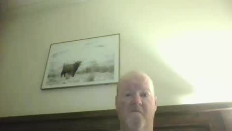 black_n_white4 online show from February 24, 8:51 pm
