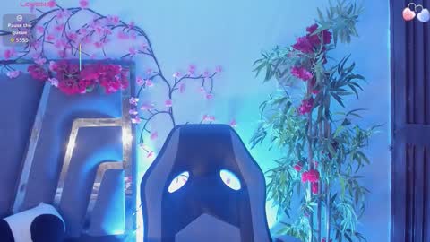 B L A C K  R O S E  online show from November 10, 11:20 am