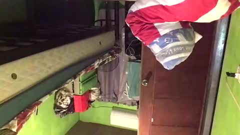 Crystal online show from February 20, 2:30 am