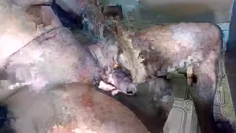 Snapshot of blackedbigdick chatting on October 18, 7:03 pm blackedbigdick online show from October 18, 7:03 pm