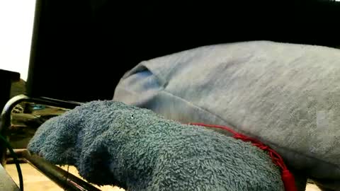 Snapshot of blackriches96 chatting on February 21, 3:21 pm blackriches96 online show from February 21, 3:21 pm