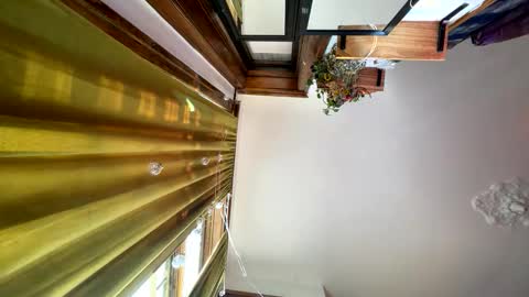 Blair online show from November 16, 5:18 pm