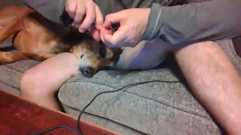 blaw_1321 online show from December 21, 12:53 am