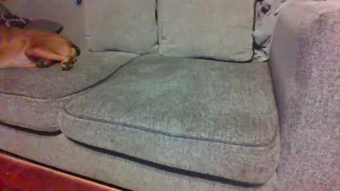 Snapshot of blaw_1321 chatting on September 29, 4:50 am blaw_1321 online show from September 29, 4:50 am