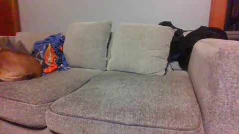 Snapshot of blaw_1321 chatting on October 4, 6:22 am blaw_1321 online show from October 4, 6:22 am