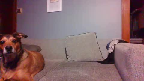 Snapshot of blaw_1321 chatting on October 16, 7:20 am blaw_1321 online show from October 16, 7:20 am