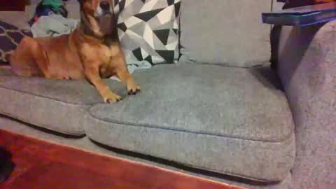 Snapshot of blaw_1321 chatting on November 14, 8:57 am blaw_1321 online show from November 14, 8:57 am