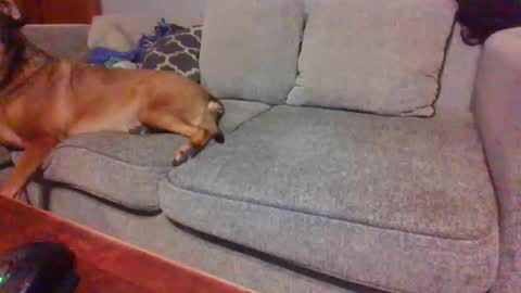 Snapshot of blaw_1321 chatting on November 23, 9:47 pm blaw_1321 online show from November 23, 9:47 pm