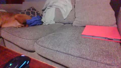 Snapshot of blaw_1321 chatting on December 1, 2:05 am blaw_1321 online show from December 1, 2:05 am