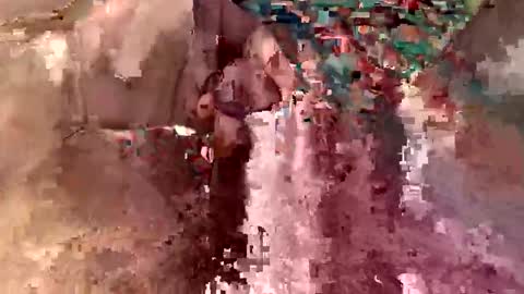 bleez75 online show from February 16, 10:33 am