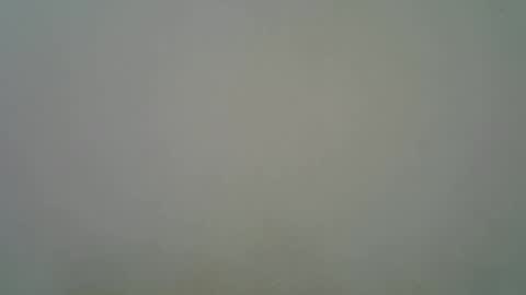 Snapshot of blesse_mixed chatting on November 11, 5:29 am Black brown online show from November 11, 5:29 am