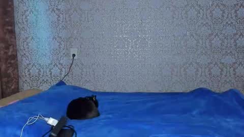 bloemetjes online show from October 7, 11:35 pm