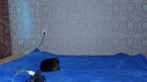 bloemetjes online show from October 16, 10:00 pm