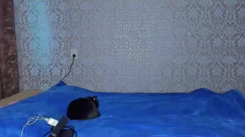 bloemetjes online show from October 24, 5:04 am