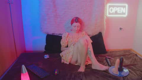 Bloom online show from February 4, 3:40 pm