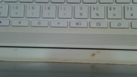 Blurberry online show from August 5, 10:51 am