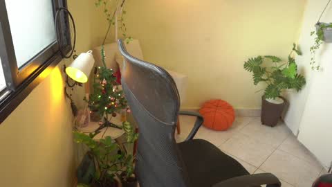 FLORAA online show from December 23, 10:42 am