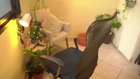 FLORAA online show from December 24, 8:44 am
