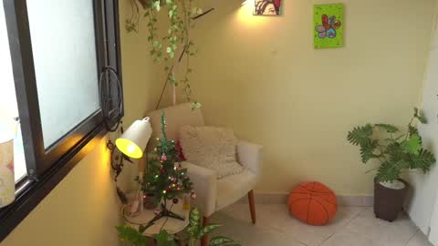 FLORAA online show from December 24, 11:49 am
