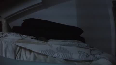 bo22222222 online show from November 29, 8:01 pm