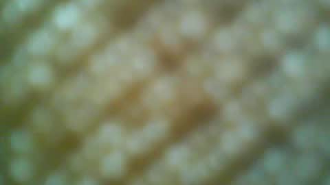 Snapshot of boatman00769 chatting on May 31, 6:31 pm Motto Motto online show from May 31, 6:31 pm