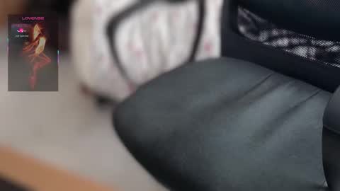 Bobby online show from March 19, 10:41 am