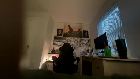 Snapshot of bobbyjones88034 chatting on March 27, 12:05 pm Luv bug online show from March 27, 12:05 pm