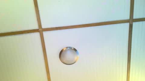 bodacioustits online show from November 2, 7:22 am