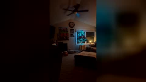 bodiddly64 online show from December 14, 6:19 am