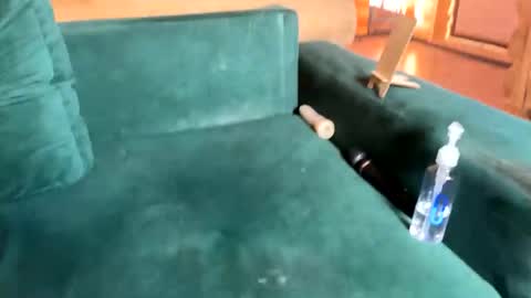 Nail and Olivia online show from October 8, 10:35 am