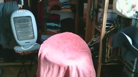 Snapshot of bombero5656 chatting on December 15, 3:16 pm Bombero56 online show from December 15, 3:16 pm