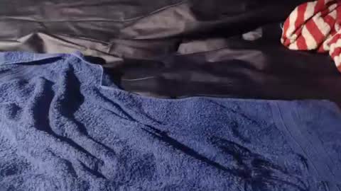 Bomm65 online show from November 19, 3:12 pm