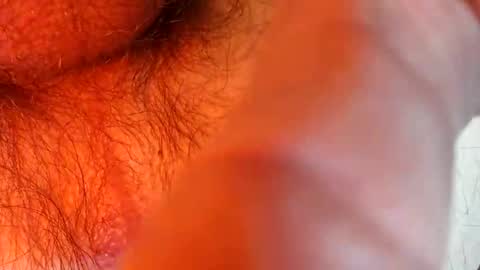 Snapshot of bonnie312 chatting on September 18, 4:09 pm bonnie312 online show from September 18, 4:09 pm