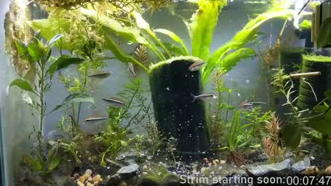 Booker Baxton online show from December 25, 4:01 am