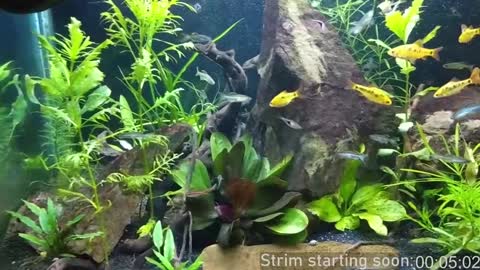 Booker Baxton online show from January 5, 4:04 am