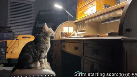 Booker Baxton online show from January 9, 4:08 am