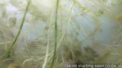 Booker Baxton online show from February 25, 4:03 am