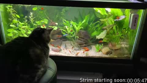 Booker Baxton online show from September 9, 3:06 am