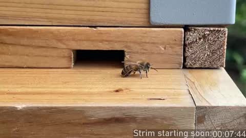 Booker Baxton online show from October 2, 3:02 am